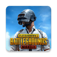 pubg绿体文件包可复制版